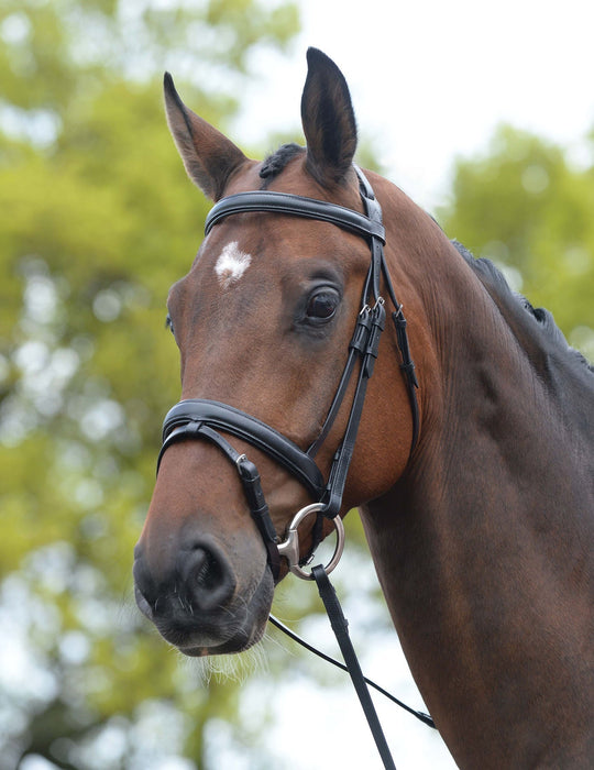 Kincade Leather Padded Flash Horse Bridle - 0VKA5 - Black - Full - 5