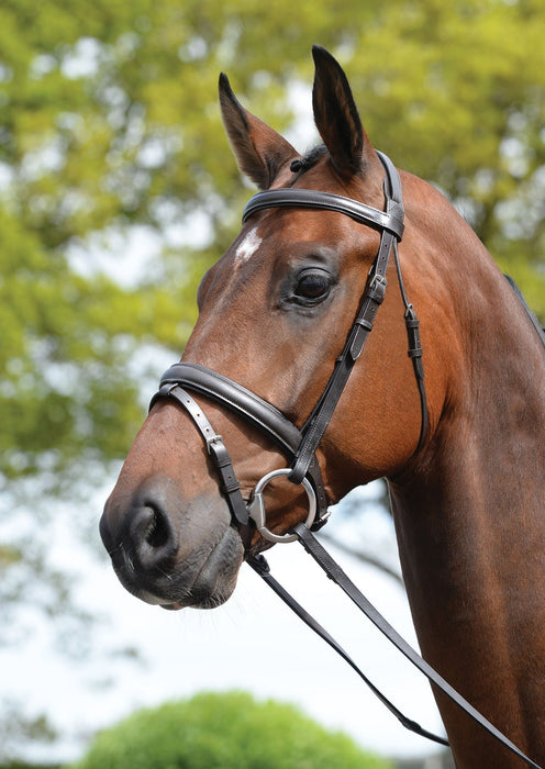 Kincade Leather Padded Flash Horse Bridle - 0VKA6 - Brown - Full - 11