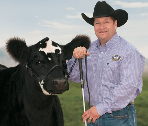 Kirk Stierwalt Black Magic Show Halter - Jeffers - Cattle Supplies > Cattle Supplies