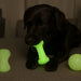 Glow in the Dark Squeaking Dog Chew Toy Assortment  
