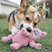 Animal-Shaped Plush Pet Squeaker Toy  
