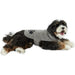 Bone Dry Embroidered Gray Microfiber Pet Robe with Adjustable Closure  