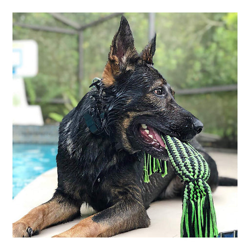 Knot - n - Chew Small/Medium, 2 Knot with Squeaker - H7W2 - Green/Black - Small/Medium - 2