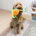 KONG Bendeez™ Plush Dog Toy with Flexible Rope Core & Squeaker - K9ADD - Snail - Large - 1 ct - 27