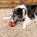 KONG Corkz Lickable Toppers for Dogs – Chicken Flavor, Fits Small, Medium & Large KONGs - K9ADE - Savory - 8 oz - 1 ct - 9