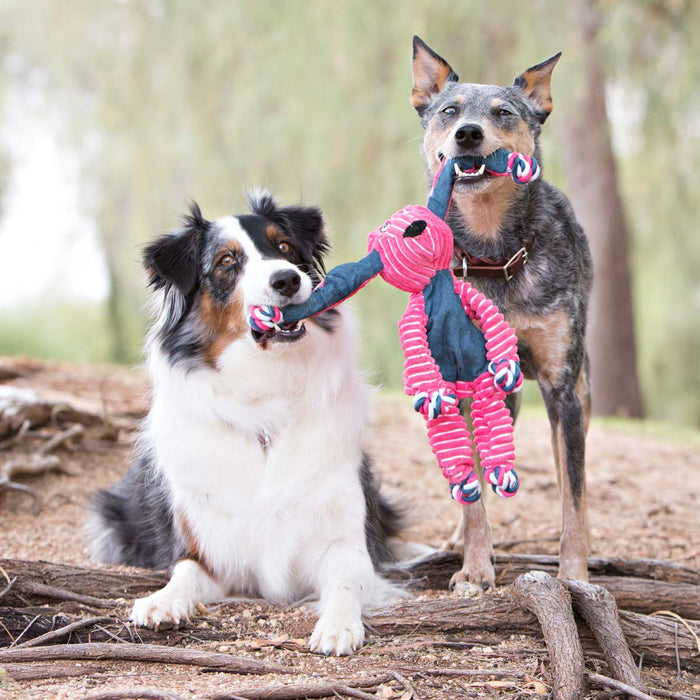 KONG Floppy Knots Plush Dog Toy with Internal Rope & Squeaker - K9AC4 - Bunny - Small/Medium - 1 ct - 27
