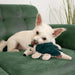 KONG Layerz Forage Animal Plush Dog Toy – Treat Puzzle with Squeaker & Crinkle - K9ABU - Armadilo - Medium - 1 ct - 6