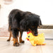 KONG Layerz Forage Animal Plush Dog Toy – Treat Puzzle with Squeaker & Crinkle - K9ABW - Rooster - Medium - 1 ct - 19