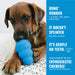 KONG Puppy Goodie Bone Treat Dispensing Dog Chew Toy – Soft Rubber Teething Toy for Puppies - K9ADF - Assorted Pink or Blue - Medium - 1 ct - 7