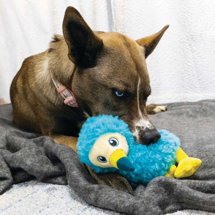 KONG Toughz Squeaky Plush Dog Toy – Medium, Durable & Soft - K9ABS - Dodo Bird - Medium - 1 ct - 20