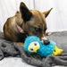 KONG Toughz Squeaky Plush Dog Toy – Medium, Durable & Soft - K9ABS - Dodo Bird - Medium - 1 ct - 20