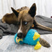 KONG Toughz Squeaky Plush Dog Toy – Medium, Durable & Soft - K9ABS - Dodo Bird - Medium - 1 ct - 19