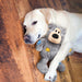 KONG Wild Knots Bear – Soft Plush with Knotted Rope Skeleton, Assorted - K9ACT - Assorted - Small/Medium - 1 ct - 7