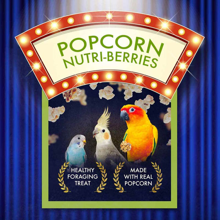 Lafeber Cockatiel Popcorn Nutri - Berries, 4 oz bag - LF415 - 3