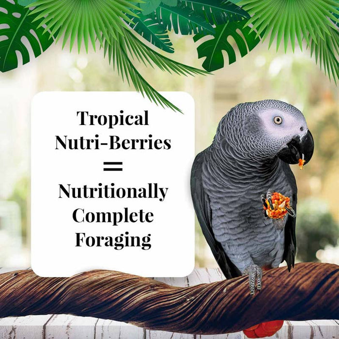 Lafeber Parrot Tropical Fruit Nutri - Berries Bird Food, 10 oz bag - LF418 - 10 oz - 3