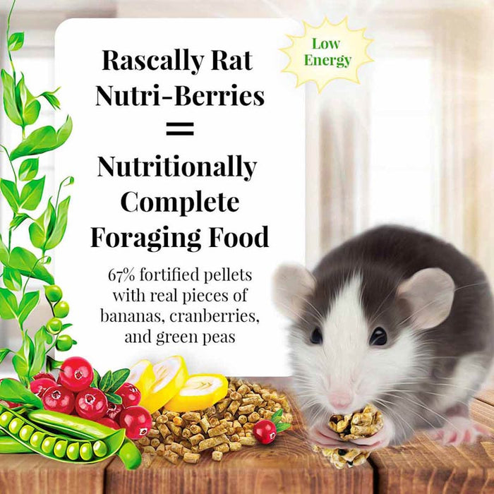 Lafeber Rascally Rat Nutri - Berries, 10 oz bag - LF41C - 2