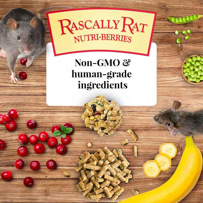 Lafeber Rascally Rat Nutri - Berries, 10 oz bag - LF41C - 3