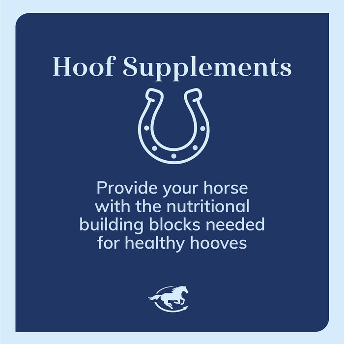LaminOX, Hoof Support Health Supplement for Horses, Powder - SMAAC - 3.3 lb - 4