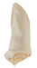 Lamzearz Natural Lamb Dog Treats - PCI2R - Single Pack - 1