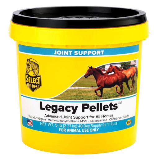 Legacy Advanced Horse Joint Supplement with Glucosamine, MSM, Chondroitin, Yucca, and Vitamins E & C – Pelleted Support for Mobility and Flexibility - Jeffers - Animal Health & Wellness > Joint Health
