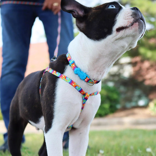 Li'l Pals Adjustable Patterned Dog Collar - C21B2 - Bright Tie Dye - Petite X - Small - 3/8" x 6" - 8" - 3