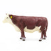 Little Buster Hereford Cow - LB119 - 2