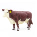 Little Buster Hereford Cow - LB119 - 1