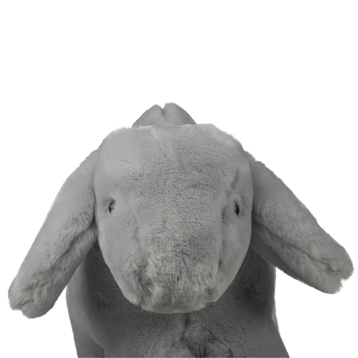 Little Buster Medium Plush Calf Brahman - LB12C - 2