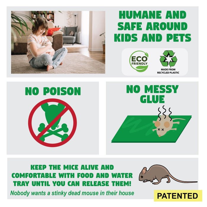 Live Catch & Release Mouse Traps, 2-Pack - B2F2 - 2 - 4