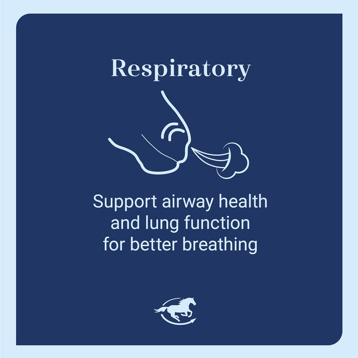 Lung EQ, Respiratory Support Supplement for Horses, Pellets - SMAAG - 12 lb Bag - 4