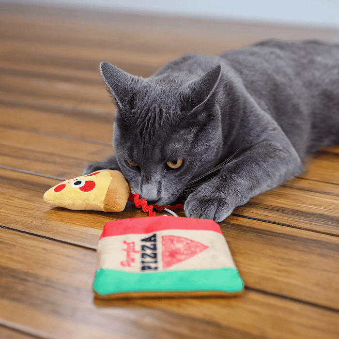 Mad Cat Purrfect Pizza - DKXX - Multi - 5