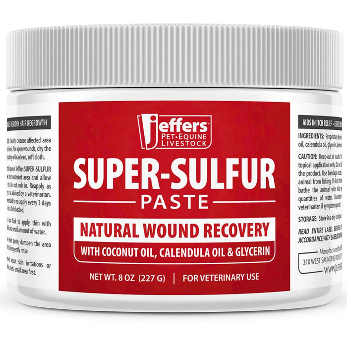 Jeffers Super Sulfur Healing Paste – Natural Skin & Wound Care for Horses, Dogs, Cats & Livestock  – Soothing Sulfur Based Formula with Calendula, Bentonite Clay & Coconut Oil – 8 oz Size 8 oz