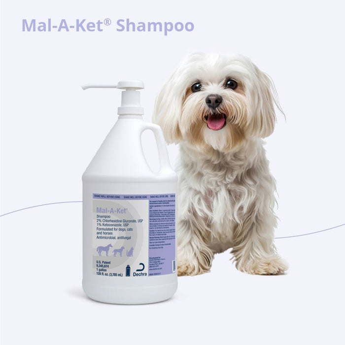 Mal - A - Ket Medicated Ketoconazole Chlorhexidine Shampoo for Horses, Dogs & Cats - 013DP-32012 - 1 Gallon - 9