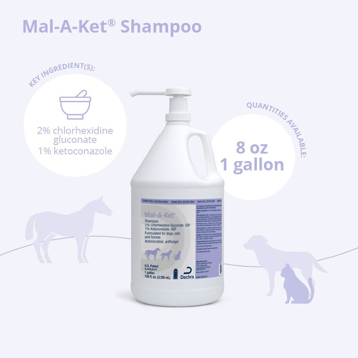 Mal - A - Ket Medicated Ketoconazole Chlorhexidine Shampoo for Horses, Dogs & Cats - 013DP-32012 - 1 Gallon - 8