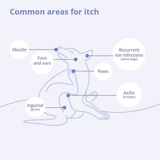 Mal - A - Ket Plus TrizEDTA Dog & Cat Spray Conditioner, 8 oz - 013DP-03088 - Bottle - 2