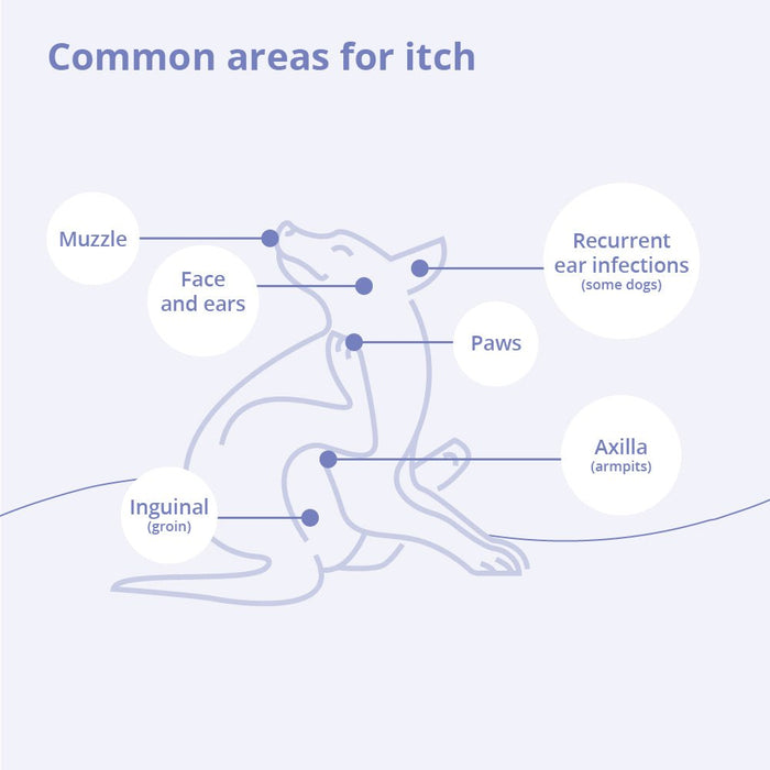 Mal - A - Ket Plus TrizEDTA Dog & Cat Spray Conditioner, 8 oz - 013DP-03088 - Bottle - 2