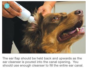 Mal - A - Ket Plus TrizEDTA Flush - 013DP-91125 - 12 oz - 8