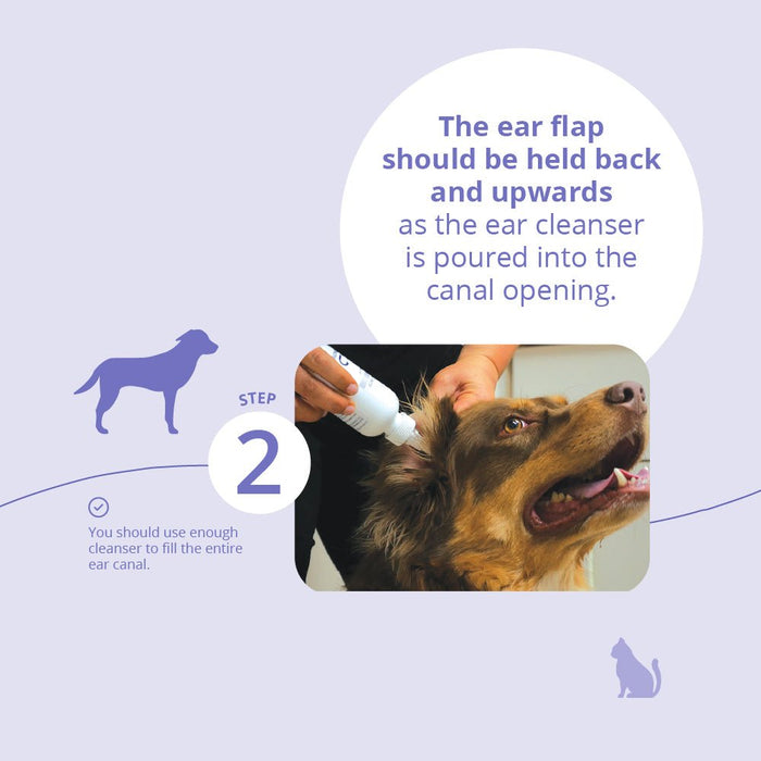 Malaseb Flush – Medicated Antibacterial & Antifungal Skin Flush for Dogs, Cats, and Horses - 019BAY-89267 - 12 oz - 5