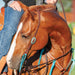 Martin Antique Turquoise Sliding Ear Headstall - CR1H2 - 2