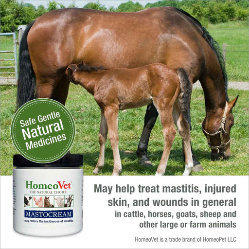 MastoCream Cattle Mastitis Cream - NVM3 - 8 oz - 2