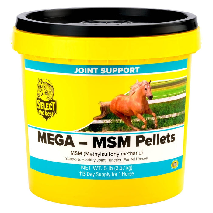 Mega - MSM Pellets Joint Supplement for Horses – 10,000 mg MSM with Stabilized Rice Bran for Mobility & Flexibility - Jeffers - Animal Health & Wellness > Joint Health
