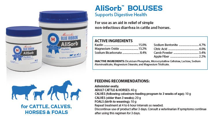 Merrick's Blue Ribbon Anti - Diarrheal Bolus - VP1S - 10 g - 6