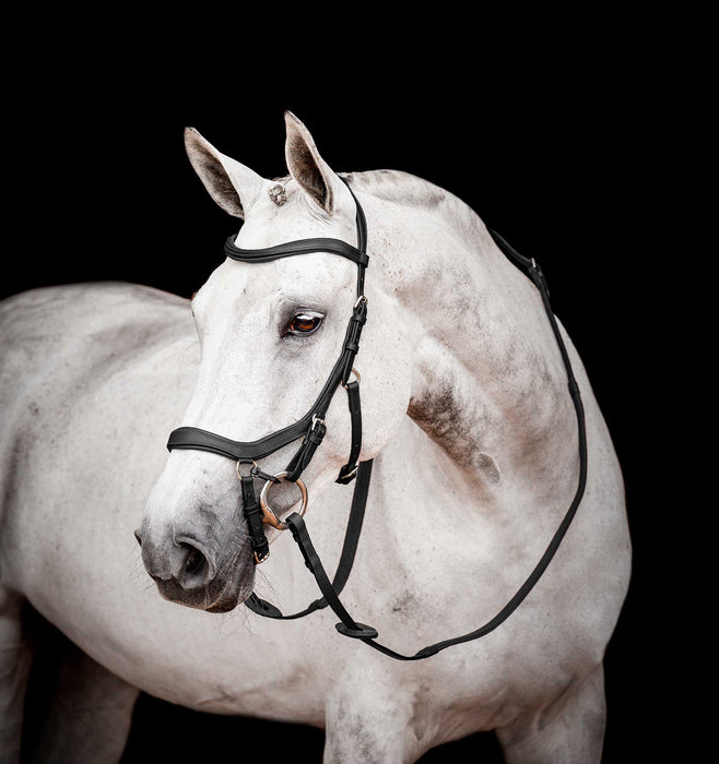 DUPLICATE - FO516 - Micklem 2.0 Competition Bridle, Black - FO505-DUPE - Black - Cob - 1