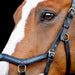 DUPLICATE - FO516 - Micklem 2.0 Competition Bridle, Black - FO505-DUPE - Black - Cob - 2