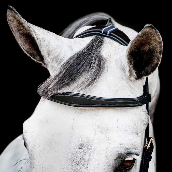 Micklem 2.0 Multi Bridle for Horses – Adjustable Bit Straps, Padded Leather, Pressure - Relief Design - FO50G - Dark Havana - Full - 11