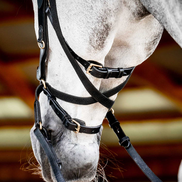 Micklem 2.0 Multi Bridle for Horses – Adjustable Bit Straps, Padded Leather, Pressure - Relief Design - FO50G - Dark Havana - Full - 9