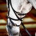 Micklem 2.0 Multi Bridle for Horses – Adjustable Bit Straps, Padded Leather, Pressure - Relief Design - FO50G - Dark Havana - Full - 9