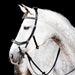 Micklem 2.0 Multi Bridle for Horses – Adjustable Bit Straps, Padded Leather, Pressure - Relief Design - FO50K - Black - Full - 12