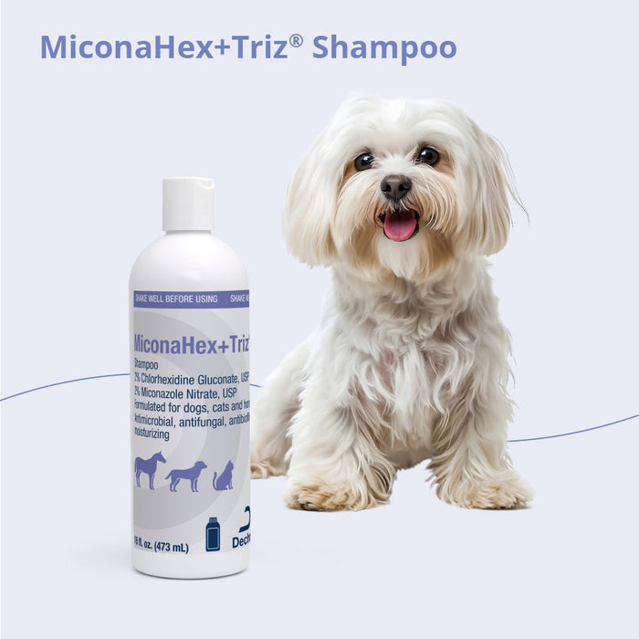 MiconaHex+Triz Medicated Antifungal & Antibacterial Shampoo for Dogs, Cats & Horses - 013DP-73169 - 16 oz - 9