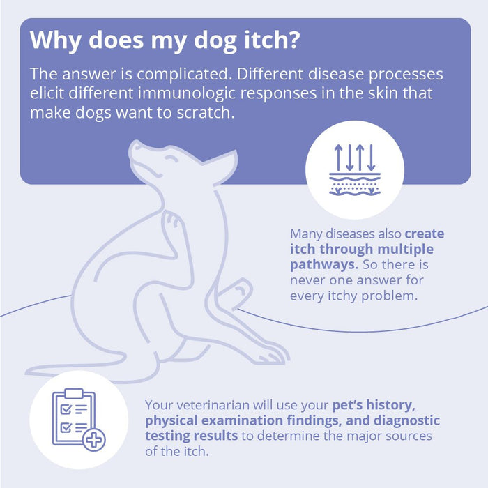 Miconahex+Triz Medicated Antimicrobial Spray Conditioner for Dogs, Cats, and Horses - 013DP-80082 - 8 oz - 3